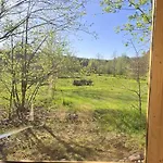 Tatil Evi Dzik Lupawsko