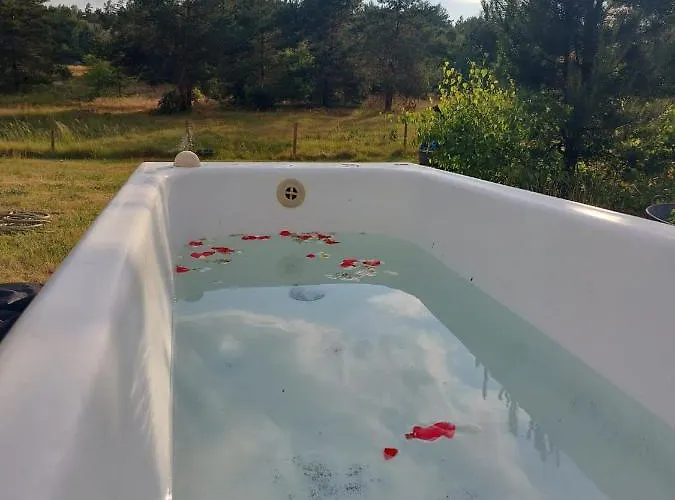 Dzik בית נופש Lupawsko