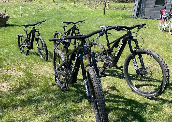 בית נופש Dzik *